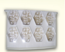 Καρδιά-διαμορφωμένο μελιού εμπορευματοκιβώτιο κιβωτίων χτενών μελιού χτενών καθορισμένο πλαστικό για τη μελισσοκομία 0