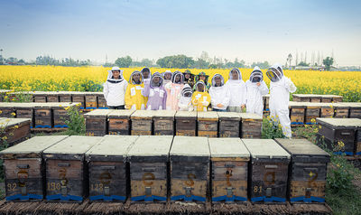 Κίνα Bee Star-----------Make Your Bees Be Great Star Εταιρικό Προφίλ