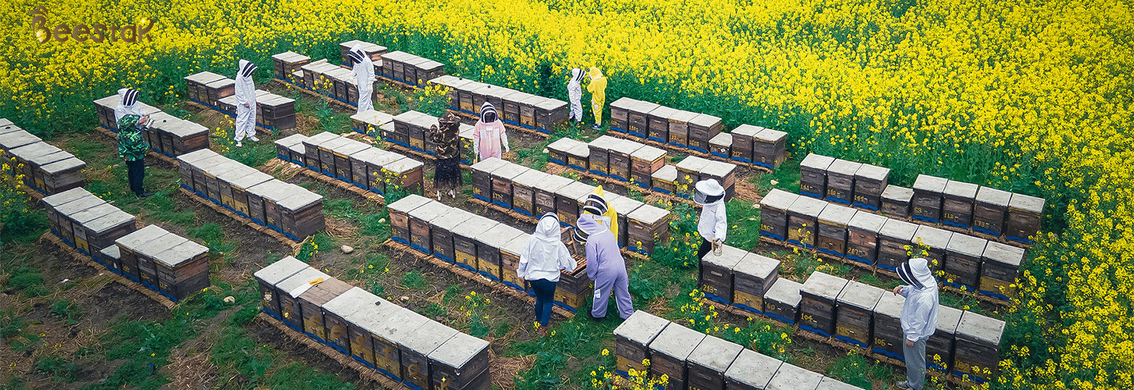ποιότητας Φυσικό μέλι μελισσών εργοστάσιο