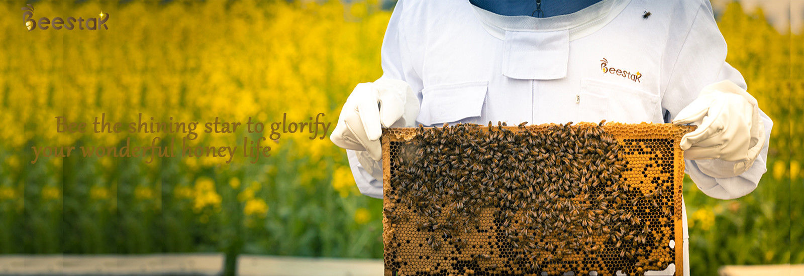 ποιότητας Καθαρός φυσικός μελισσοκηρός εργοστάσιο
