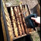 Ενημερωμένο Green Bee Remover για μελισσοκομική επαναφορτιζόμενη ηλεκτρική σέικερ μελισσών λιθίου