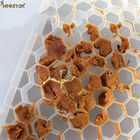 Πλαστικός τροφοδότης μελισσών τροφοδοτών γύρης μελισσών μελιού μελισσοκομίας για τα εργαλεία μελισσοκομίας γύρης