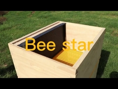 Κιτ ξύλινου κυψέλης μελισσών Langstroth, μη συναρμολογημένο, εξοπλισμός μελισσοκομίας