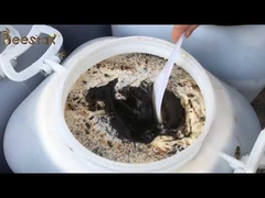 Jujube Sidr Raw Organic Natural Bee Honey Dark Amber Color