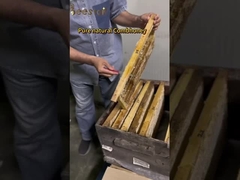 250 γραμμάρια μέλι Manuka MGO 100+Πιστοποιημένο 100% Καθαρό Νέα Ζηλανδία μέλι ManukaΦυσικό μέλι μέλισσας