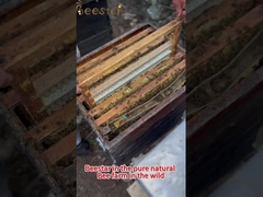 Φυσικό γλυκό καθαρό ακατέργαστο πολυ- ανθοφόρο μέλι φυσικό μέλι μελισσών βιολογικό πολυ- ανθοφόρο μέλι