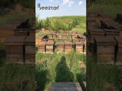 10,4% 1,6% 10-HDA Natrual Fresh Royal Jelly Bee Products Honey Royal Jelly