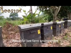 Εμπορικό χονδρικό 100% βιολογικό μέλι Sidr HALAL ώριμο φρέσκο μέλι της Υεμένης χωρίς πρόσθετα