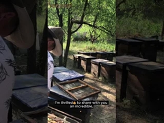 Χονδρικό Μεγάλης Ποιότητας 100% Φυσικό Άγριο Δάσος Βουνομέλι Χωρίς Πρόσθετα Φυσικό μέλι μέλισσας