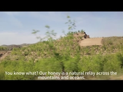 Μέλι Manuka UMF10+(250g) φυσικό μέλι μέλισσας από τη Νέα Ζηλανδία καθαρό ωμό μέλι