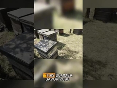 Μεγάλη κόκκινη γύρη γύρης βιασμού μέλι ακατέργαστη μέλισσα γύρη για ανθρώπους και μέλισσες