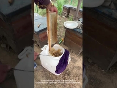 Μέλι Manuka UMF10+(250g) φυσικό μέλι μέλισσας από τη Νέα Ζηλανδία καθαρό ωμό μέλι