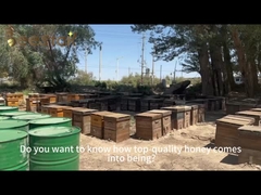 Καθαρή φρέσκια τσαγιού πώληση εργοστασίων τροφίμων μελισσών γύρης φυσική άμεσα