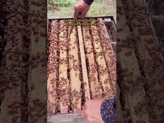 Καυτό πώληση στην αγορά Οργανικό Φρέσκο Βασιλικό Πολτό Φυσικό Καθαρό Τρόφιμο