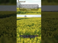 100% καθαρό ωμό μέλι φυσικό μέλι βιασμού φυσικό μέλι μελισσών χωρίς πρόσθετα