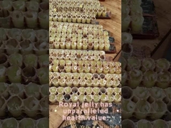 10-HDA Οργανικό Φρέσκο Βασιλικό Πολτό Καθαρός Βασιλικός Πολτός για την υγεία