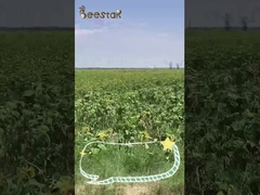 100% καθαρή μικτή σκόνη γύρης μελισσών