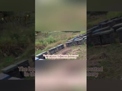 Φυσικοί κόκκοι γύρης πολλαπλών ανθέων, χύμα, κατάλληλοι για τρόφιμα