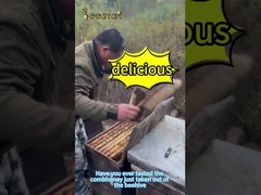 500g φυσικό μέλι χτένι με πολλά λουλούδια ανοιχτόκίτρινο τροφικό