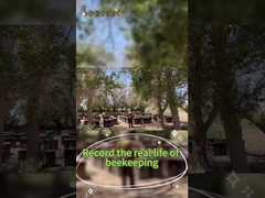 Beestar Φρέσκο Φυσικό Μέλι Χωρίς Πρόσθετα Φυσικό Μέλι Μέλισσας Ακατέργαστο Μέλι Για Την Υγεία