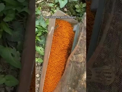 Προσαρμοσμένο Ακατέργαστο Φρέσκο Τσάι Γύρη Μέλισσας Βιταμίνες Νέο Φρέσκο Φυσικό Προϊόντα Μέλισσας