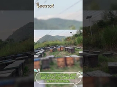 Φυσικό Μέλι Ακατέργαστη Γύρη Μέλισσας Κοκκώδης Καθαρή Γύρη Μέλισσας Τροφή Μελισσών