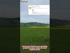 Οργανικό Beestar Fresh Royal Jelly για την Ανθρώπινη Υγεία, ευρέως επαινέθηκε.