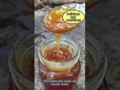 500g Φυσικό Μέλι Κυψέλης Πολλαπλών Ανθέων Ανοιχτό Κίτρινο Τροφίμων, Νόστιμο και υγιεινό