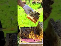 100% φυσικό μέλι εσπεριδοειδών καθαρό ωμό μέλι υγιεινή τροφή φυσικό μέλι μελισσών μέλι χονδρικού εμπορίου