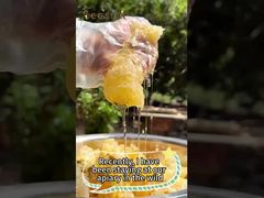 100% Φυσικό Μέλι  Αγνό Ακατέργαστο Μέλι Υγιεινή Τροφή Φυσικό Μέλι Μέλισσας για Χονδρική