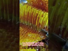 Ακατέργαστο Μέλι Φυσικό Μέλι Μέλισσας από Φυσικό μελισσοκομείο καθημερινής φροντίδας Φυσικό Μέλι Μέλισσας