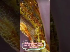 Το μέλι που στύβεται με το χέρι μπορεί να διατηρήσει καλύτερα τη θρεπτική αξία και την αρχική γεύση του μελιού.