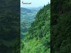 Σας πάμε να επισκεφθείτε το μελισσοκομείο μας που βρίσκεται βαθιά στα βουνά και να έρθετε κοντά στη φύση.