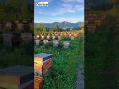 Ολόκληρο το ορεινό τοπίο έχει μεταμορφωθεί σε μια γλυκιά και δροσιστική γεύση στην άκρη της