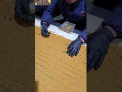 Μια πιο προσεκτική ματιά: Εξατομικευμένο ακατέργαστο φρέσκο τσάι, γύρη μέλισσας, βιταμίνες μέλισσας, νέα φρέσκα φυσικά προϊόντα μέλισσας