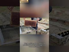 Υποστήριξη δεξαμενής μελιού ραφιού πλαισίου κυψέλης