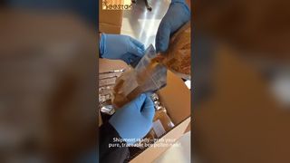 Premium Bee Pollen: Sampling, Traceability & Air-tight Freshness