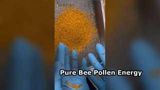 Φυσικό Ενισχυτικό Ενέργειας Pure Bee Pollen