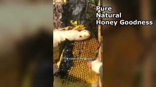 Γιατί το μαύρο μέλι είναι η απόλυτη υπερτροφή για το ντουλάπι σας