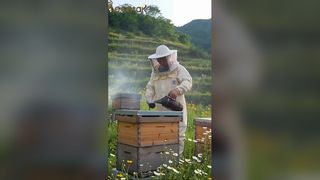 Pure Raw Multi Flower Honey 