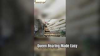 Πτυσσόμενο μελισσοκομικό εργαλείο Queen Rearing Cage
