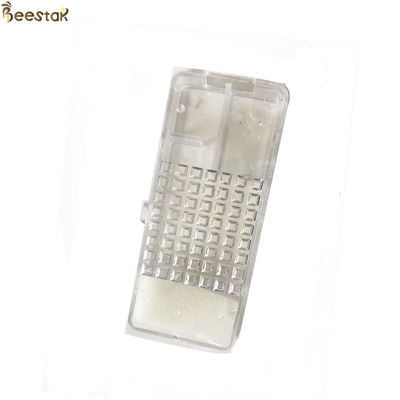 Αγορά Διαφανής σαφής βασίλισσα Bee Cage With Foam κλουβί βασίλισσας εισαγωγή για τη μελισσοκομία σε απευθείας σύνδεση κατασκευή