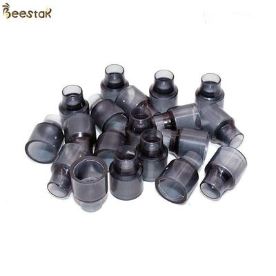 Αγορά Χονδρική πλαστική βασίλισσα Bee Cell Cups For μελισσοκομία μελισσοκομίας εργαλείων μελισσοκομίας σε απευθείας σύνδεση κατασκευή