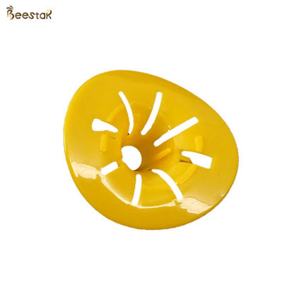 Πλαστικό απλό Hornet Killer Honey Bee Catcher Αξεσουάρ κυψέλης έντομα σφήκα