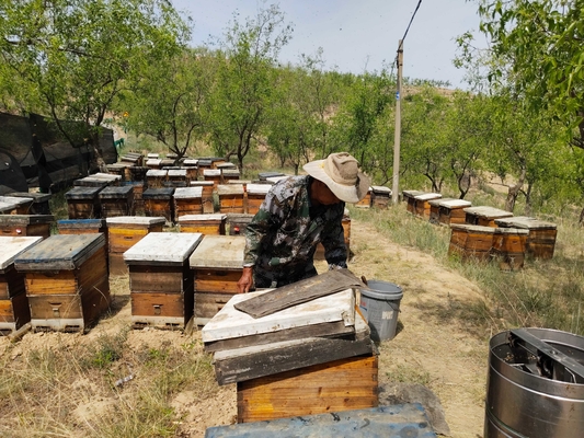 Ονομασία